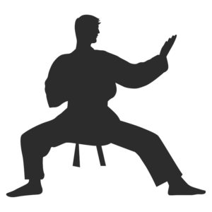 Karate5