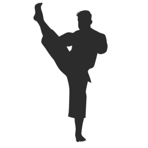 Karate6